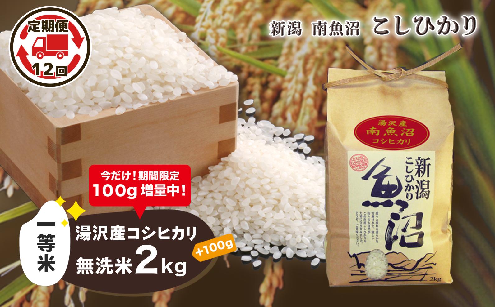 
【12ヶ月定期便】令和6年産【湯沢産コシヒカリ】＜無洗米＞2kg 精米したてのお米をお届け 【期間限定 100g増量中！】
