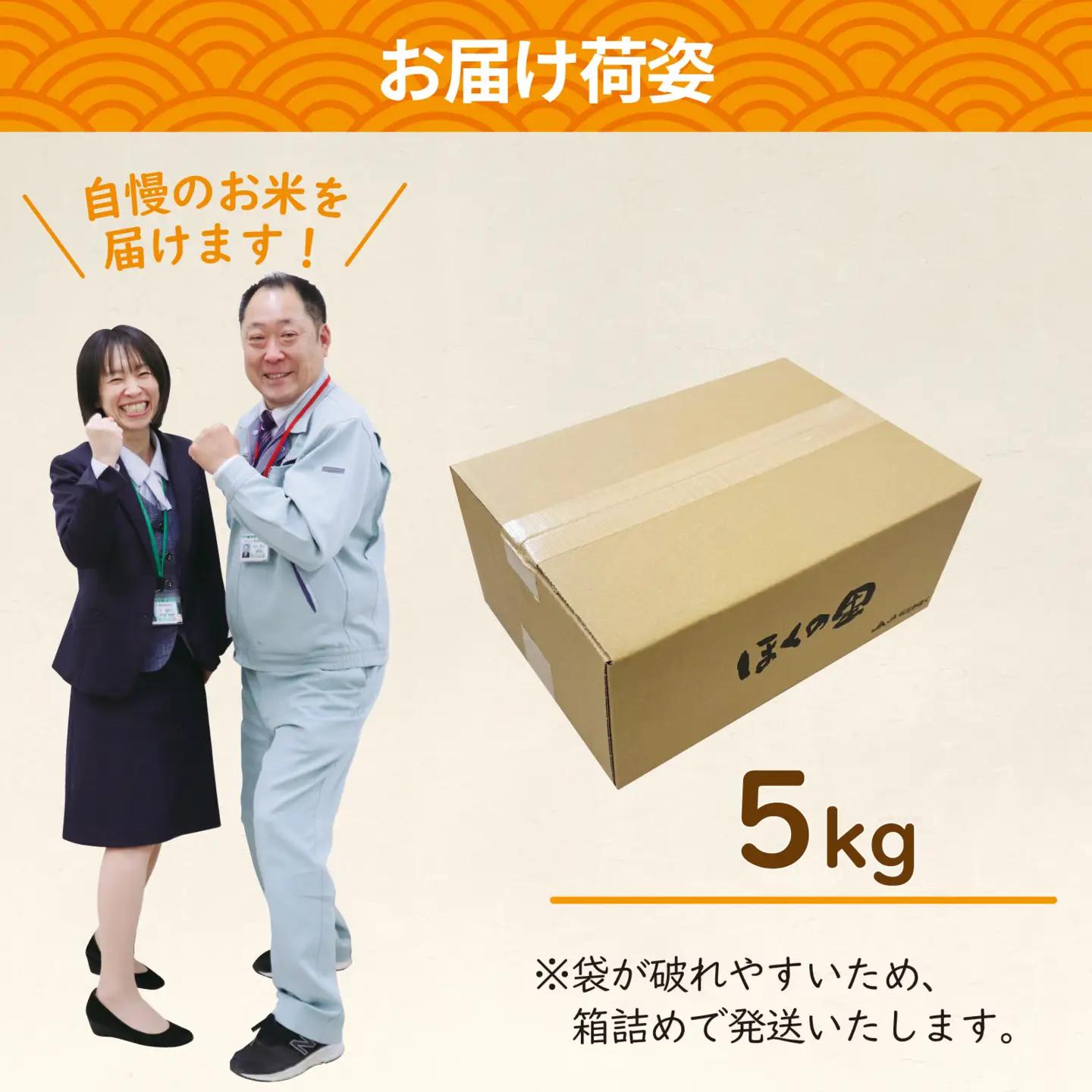 里山のこしひかり ほくの里 5kg × 1袋 |  コシヒカリ 令和7年産 