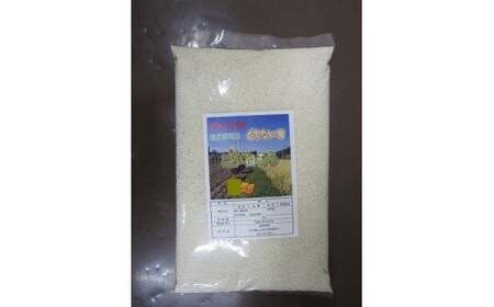 くちない米 ( こがねもち もち米 ) 5kg 【予約受付 令和8年産 10月下旬発送開始予定】 餅米 おもち お正月 東北のお米 産直 産地直送 岩手県 北上市 D0568 国産 東北 岩手 餅 米