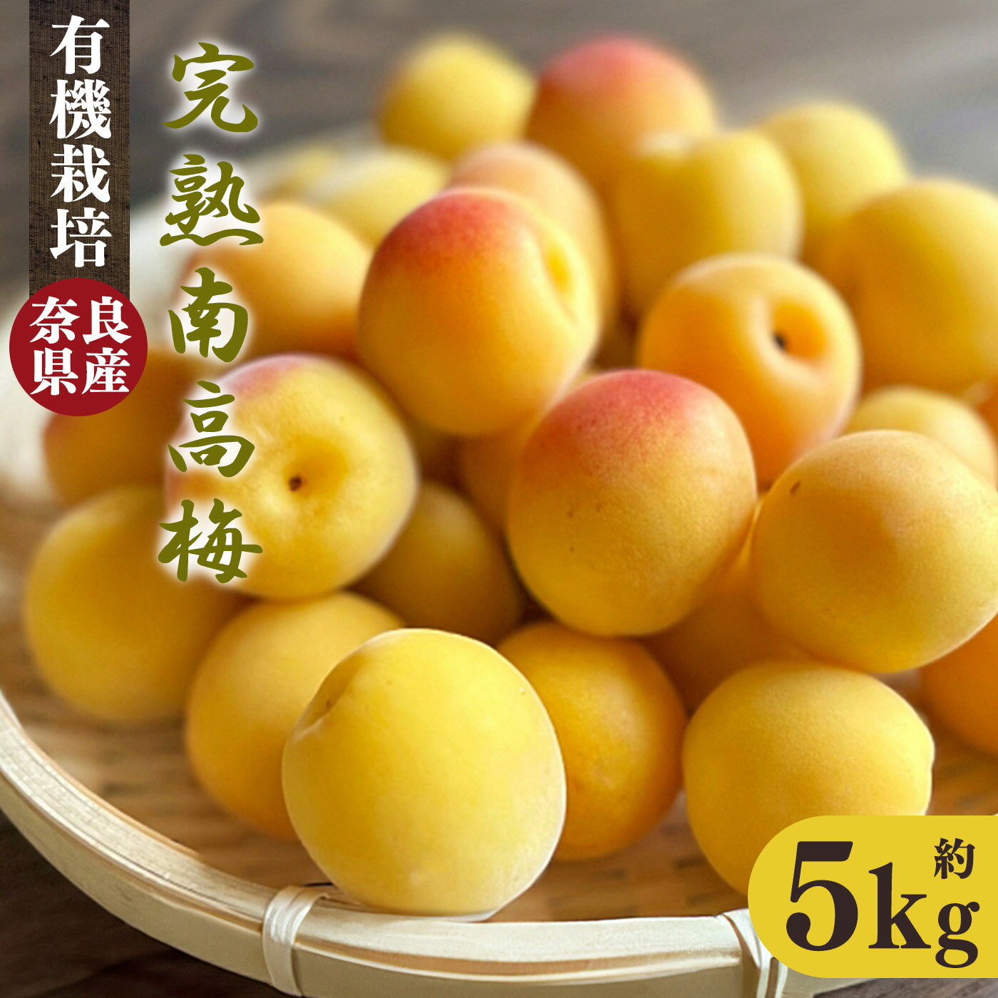 【ふるさと納税】有機栽培　完熟南高梅 5kg | 果実 かじつ カジツ 梅 うめ ウメ 奈良県 五條市