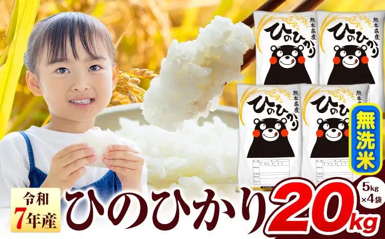 無洗米 令和7年産 ひのひかり 20kg 無洗 