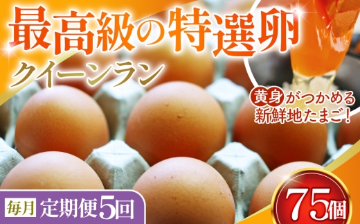 【毎月定期便】黄身がつかめる新鮮地たまご クイーンラン 赤玉 75個入り全5回 ／ 卵 毎月発送 定期便 新鮮卵 卵かけご飯 TKG 濃厚卵 黄身 弾力卵 生卵 卵料理 大容量 卵まとめ買い 新鮮食材 朝食食材 料理食材 家庭用卵 No.594
