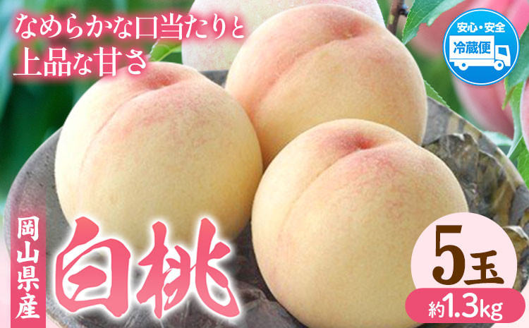 
            【2026年先行予約】岡山県産 白桃 内容量 5玉（約1.3kg） クール便 晴れの国 おかやま館(フルーツランド岡山) 《2026年7月中旬-7月下旬頃出荷》岡山県 浅口市 白桃 桃【配送不可地域あり】（離島） st-p
          