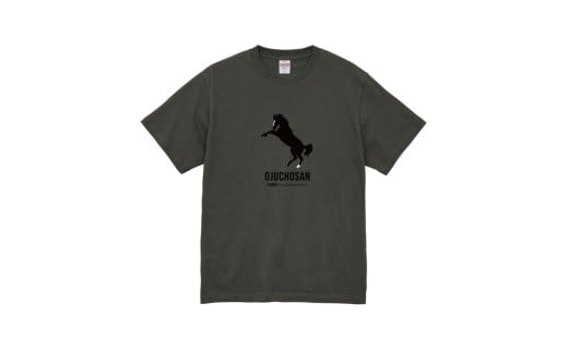 【オジュウチョウサン】Ｔシャツ _XLサイズ（ヘイジーブラック） 【ふるさと納税 人気 おすすめ ランキング 馬 競馬 競走馬 オジュウチョウサン 北海道 平取町 送料無料】 BRTV004-4