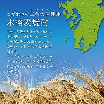 ふるさと納税 南九州市 「琳の華」1.8L×1本 |  | 02