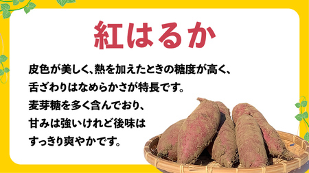 【 訳あり 無選別 】【 熟成 】 八千代町産 土付き 紅はるか 生芋 約10kg さつまいも 焼き芋 大学芋 スイーツ 産地直送 [AX010ya]