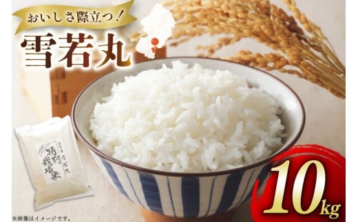 米 令和7年度産 特別栽培米 雪若丸 10kg [渡部ファーム 山形県 高畠町 tk06ays810029] お米 白米 精米 ごはん ご飯 ブランド米