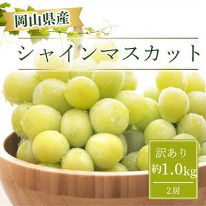 【2025年9月より発送】訳あり家庭用　岡山県産 シャインマスカット  1.0kg以上(2房)【配送不可地域：離島】【1612612】