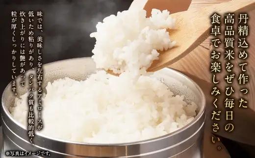 〈 令和8年産 〉 浦臼産ゆめぴりか 精白米 5kg × 1袋 お米 米 こめ コメ 白米 白飯 飯 ご飯 おにぎり 国産 北海道産 ブランド米 ブランド 粘り タンパク質 艶 【 2026年10月下