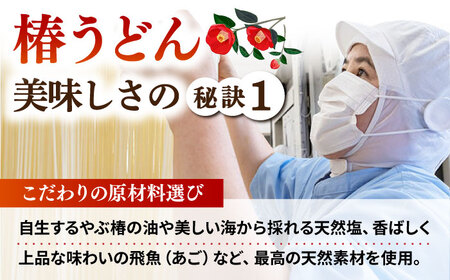 【全6回定期便】椿 うどん 300g×20袋 五島うどん 保存食 業務用【中本製麺】[RAO023]