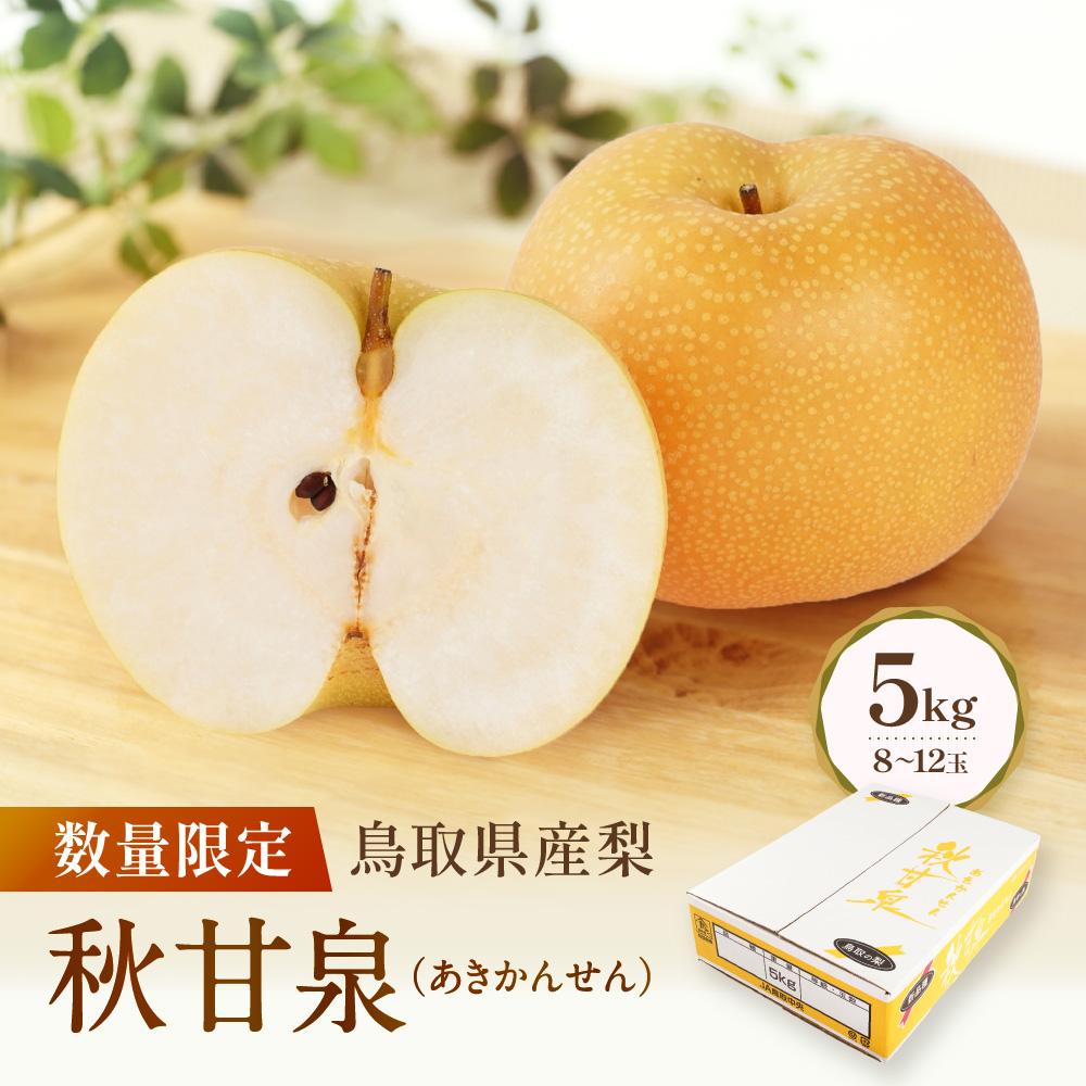 【ふるさと納税】【先行予約】数量限定 鳥取県産梨 秋甘泉（あきかんせん） 5kg（8～12玉） | フルーツ 果物 くだもの 食品 人気 おすすめ 送料無料