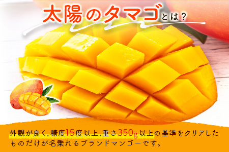 数量限定 宮崎県産 完熟マンゴー＜太陽のタマゴ＞4L×2玉 計1kg以上 ※2026年4月下旬配送開始 化粧箱入 フルーツ くだもの【E169-26】