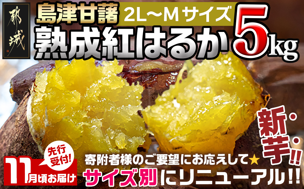 先行受付!【11月お届け】島津甘藷　熟成紅はるか 5kg(2L～M)_LD-A701-11