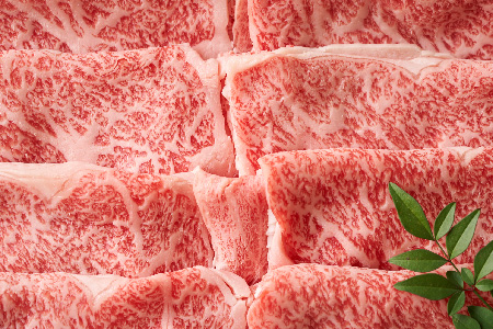 【6か月定期便】艶さし！【A4～A5】佐賀牛しゃぶしゃぶすき焼き用(肩ロース肉・肩バラ・モモ肉) 500g×6回【肉 牛肉 ブランド牛 黒毛和牛 ふるさと納税】(H112292)