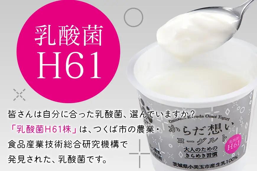 定期便4回 H61乳酸菌 からだ想いヨーグルト 20個×4回 ヨーグルト H61乳酸菌 敬老の日 御見舞い 自宅待機 食品 お取り寄せ ギフト 詰め合わせ プチギフト 誕生日 内祝い 1-O