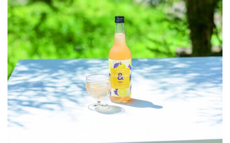 梅酒 ishigami&（イシガミアンド) 600ml×4本セット / 石神邑梅酒 田辺市 梅干し 梅干 梅 うめ 梅ジュース 梅酒 セット 炭酸割り 紀州産 フルーツ【isg039-1】