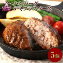 【ふるさと納税】えびの高原 ハンバーグ デミグラスソース 5パック 合計1kg 200g×5パック お肉 肉 惣菜 温めるだけ パック 成長ホルモン不使用 レンジ対応 送料無料 お手軽 時短 宮崎県 レビューキャンペーン対象返礼品