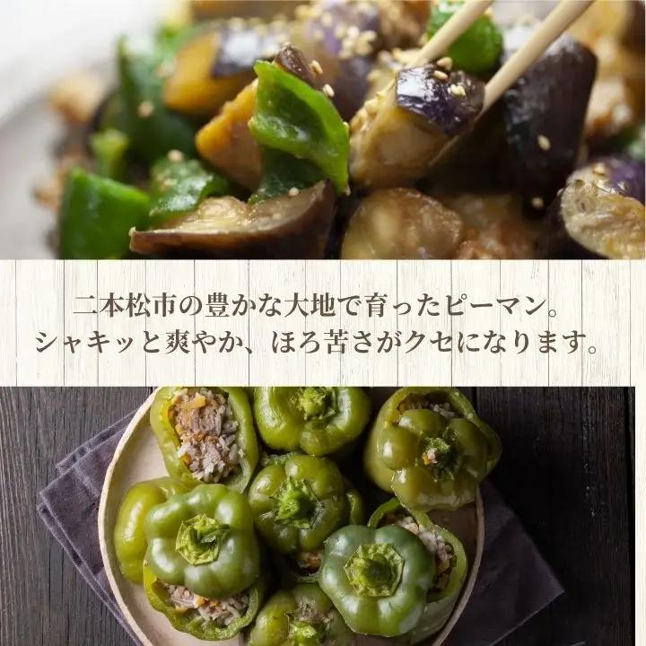 《2026年8月以降順次発送》ピーマン1kg【一般社団法人二本松有機農業研究会】