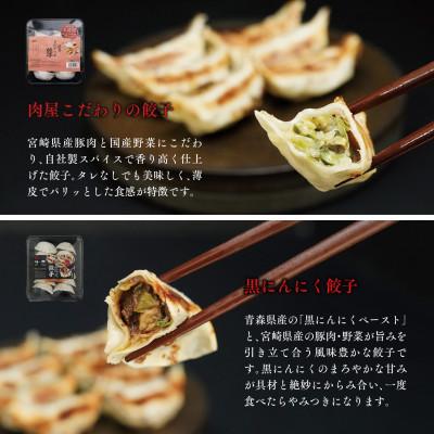ふるさと納税 宮崎市 宮崎餃子　Aセット(風味バラエティセット) |  | 03