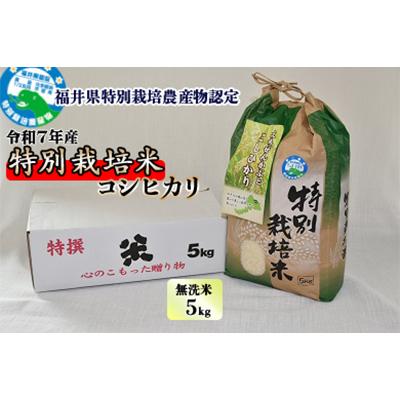 ふるさと納税 勝山市 【令和7年産】 特別栽培米 コシヒカリ 5kg×1 (無洗米)
