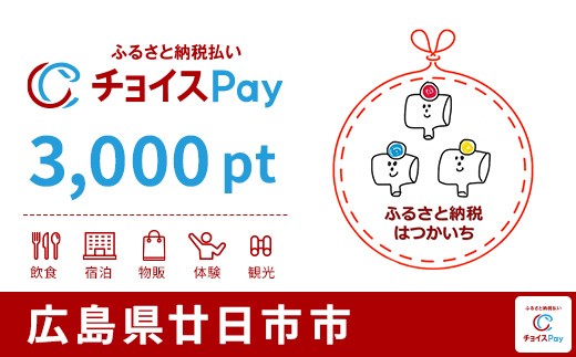 
                  廿日市市チョイスPay 3,000pt【会員限定のお礼の品】
                