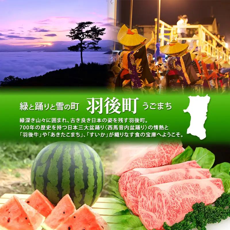 あきたこまち新米精米秋田県産あきたこまち【15kg(5kg×3袋)】【先行予約】