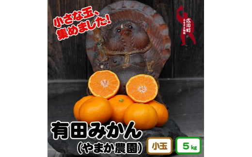 ▼有田みかん 約5kg（小玉）（2S～S）　※2024年12月上旬～2025年1月上旬頃順次発送予定 【ymk004-5-s】