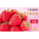 【ふるさと納税】かみふらの産いちご【すずあかね】A品　300g×4セット　果物類・いちご・苺・イチゴ　お届け：2024年7月上旬～10月下旬まで