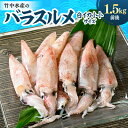 【ふるさと納税】竹中水産のバラスルメ(白イカの小小サイズ)1.5kg【C22-271】_ いか イカ スルメイカ するめいか バラスルメ 烏賊 魚介 魚介類 海鮮 鮮魚 冷凍 BBQ 簡単調理 愛媛 八幡浜 小サイズ ミニ 【配送不可地域：離島】【1115289】