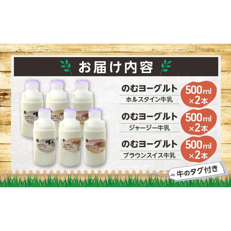 のむヨーグルト 生乳100%使用 500ml×6本 北海道産 3種 飲み比べ ホルスタイン ジャージー ブラウンスイス [i・ふぁーむ] 【 飲むヨーグルト 牧場直送 幕別 プレーン 濃厚 牛 朝食 