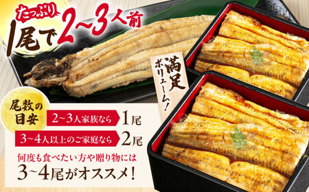  国産活うなぎ4尾（白焼）[AQDF013] 鰻 白焼き 国産 活うなぎ