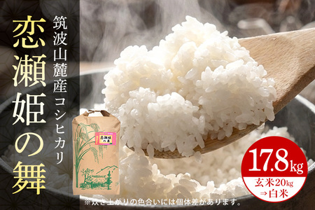 【玄米20kg⇒白米】筑波山麓厳選米【特A】令和7年産コシヒカリ（恋瀬姫の舞） B07-026