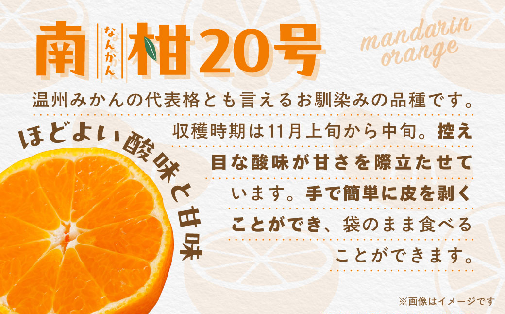 【先行受付】【数量限定】南柑20号（生果）10kg（2026年12月上旬頃より順次発送） IKTQ003