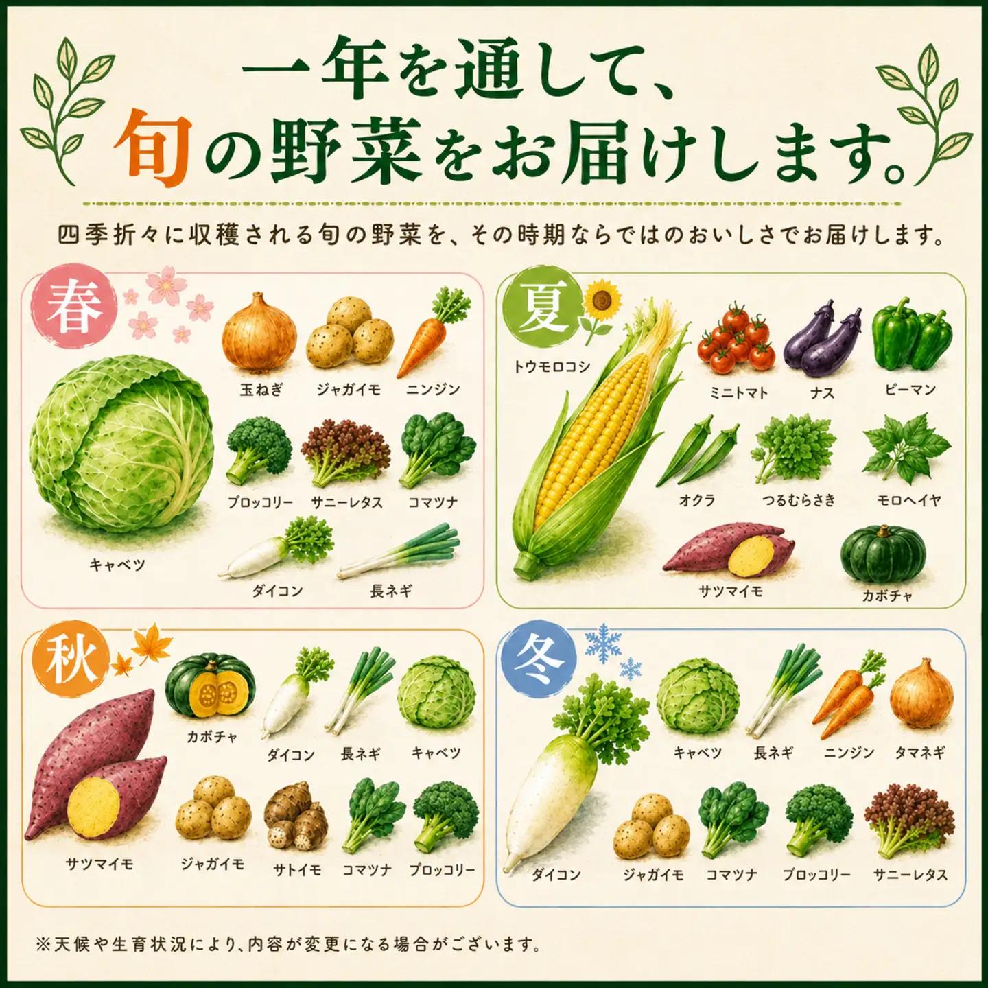 定期便 旬野菜セット 全12回 毎月 