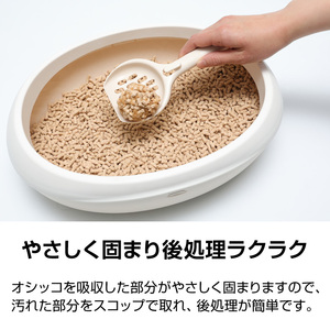 猫砂 定期便 ネオ砂ひのき 全6回 毎月発送 12L×1袋 ヒノキの香り 天然アロマ トイレに流せる やさしく固まり後処理らくらく 燃やせる 抗菌 瞬間消臭 フィトンチッド ペット用品 消耗品 静岡県