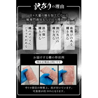ふるさと納税 焼津市 訳あり 天然 南鮪 中トロ 約400g(a10-859) |  | 02