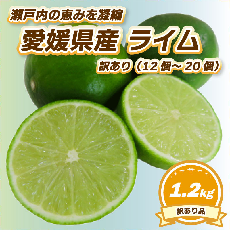 
            【9月下旬頃より発送】 訳あり ライム 約1.2kg（12個～20個） ライム らいむ 柑橘 限定 新鮮 希少 香り 瀬戸内 お酒 旬 国産 贅沢 爽快 甘酸 特産 自家製 採れたて 愛媛県 松山市
          
