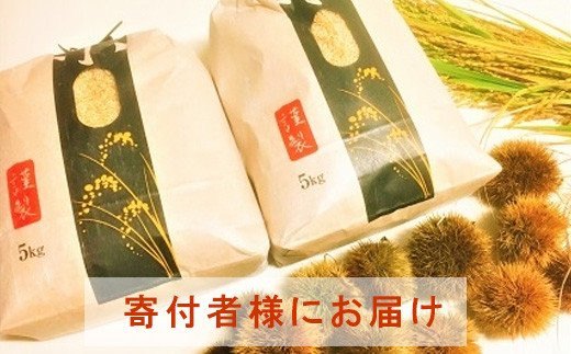 
                  ◆【お米シェア】農家直送 高島市産近江米コシヒカリ 白米（5kg×2袋）
                