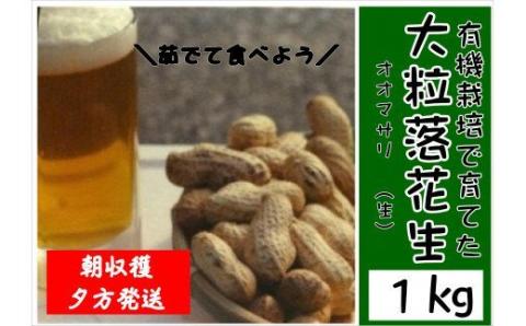 有機栽培で育てたこだわりの大粒落花生 1kg（おおまさり）