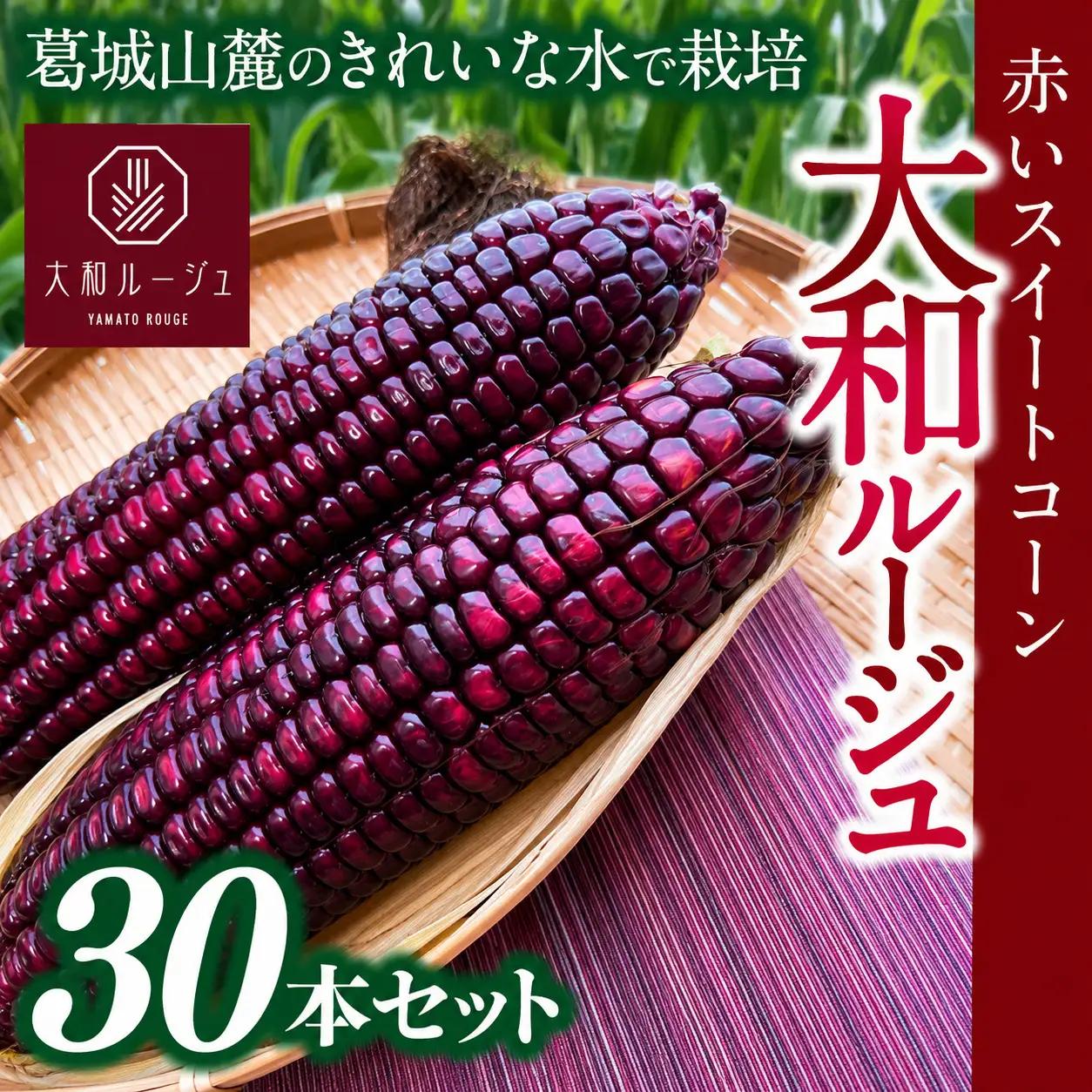 とうもろこし 先行予約 奈良県産 大和ルージュ 計30本 令和8年産 【2026年7月中旬～10月中旬順次発送】葛城市【smlk040】