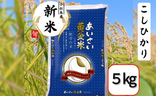 【選べる容量】令和6年産 新米 あいさい黄金米 5kg 胚芽白米 徳島県 コシヒカリ 2キロ 5キロ 6キロ 10キロ