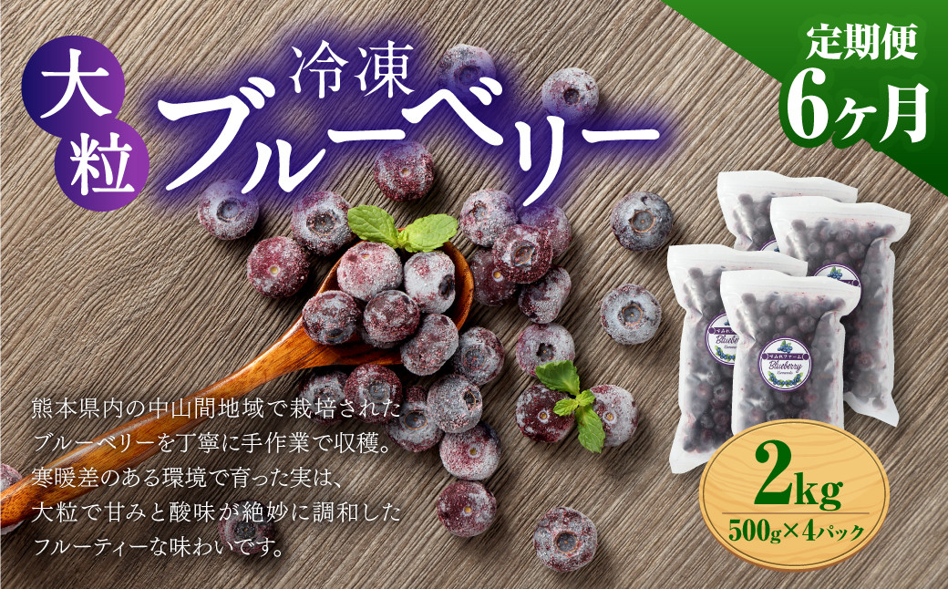 
                  【6か月連続定期便】 熊本県産 大粒 冷凍ブルーベリー 2kg（500g×4パック）×6回 合計12kg  フルーツ 果物 くだもの 冷凍 ブルーベリー 国産
                