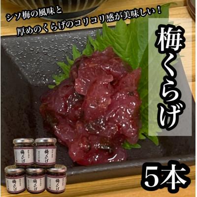 ふるさと納税 小田原市 梅くらげ 5本【小田原で作る梅の珍味、日本酒、焼酎、お酒のあてに。】【神奈川県小田原市早川】
