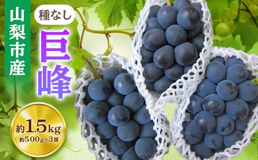 山梨市産「巨峰(種なし)」詰め合わせ(約500g×3房)【1117300】