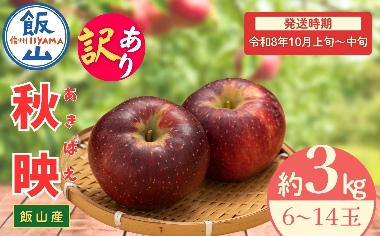 
            【先行予約丨2026年10月上旬より順次発送】訳あり 秋映【約3kg(6〜14玉)】(At-017)丨長野県 飯山市 おすすめ ランキング おいしい 高評価 大人気 先取り 産地直送 りんご 訳あり 規格外  あきばえ
          