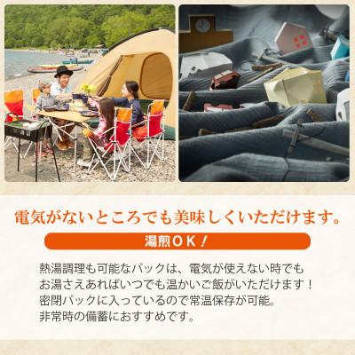 ふるさと納税 鶴岡市 山形県 庄内産 つや姫 パックライス 180g × 24個 電子レンジで温めるだけ　無菌パックごはん |  | 02