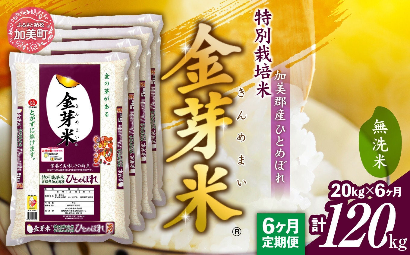 
【 定期便 6回 】米 無洗米 金芽米 令和6年 宮城県 加美産 ひとめぼれ 特別栽培米 計 120kg ( 20kg × 6回 ) [ 宮城県 加美町 ] お米 こめ コメ 精米 白米 玄米 きんめまい おすすめ 新米 ナカリ タカラ米穀 パワーライス カメイ 新生活応援 美味しい こだわり
