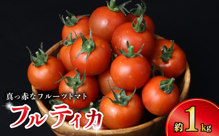 フルーツトマト〈約1kg〉 【トマト】