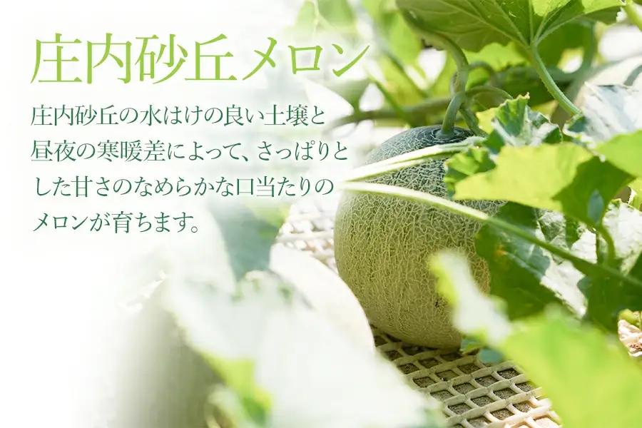 【令和8年産先行予約】アンデスメロン（青肉） 約4.5kg 2L～4L 【秀品】 3玉～５玉入 【令和8年6月下旬～7月下旬頃発送予定】 山形県鶴岡産 庄内砂丘メロン 御殿まりメロン 丸果庄内青果 　