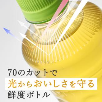 ［定期便６回］お～いお茶緑茶PEＴ６００ml（1908）
